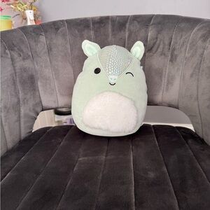 Armadillo squishmellow